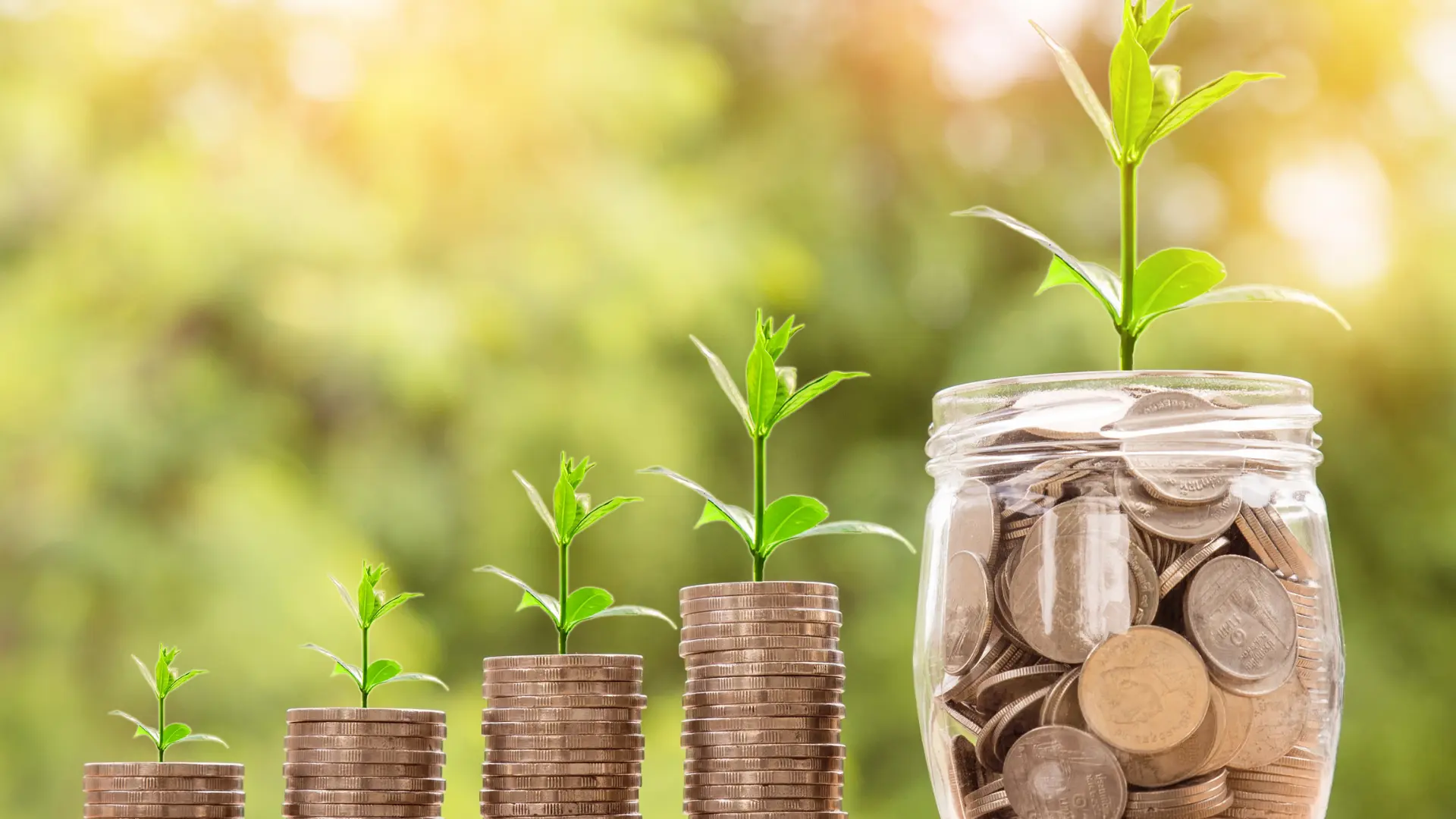 grow-your-business